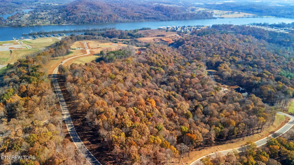 2908 Old Dogwood Tr, Loudon, TN 37774 - #1