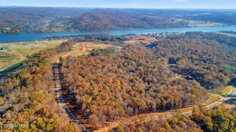 2908 Old Dogwood Tr, Loudon, TN 37774 - #2