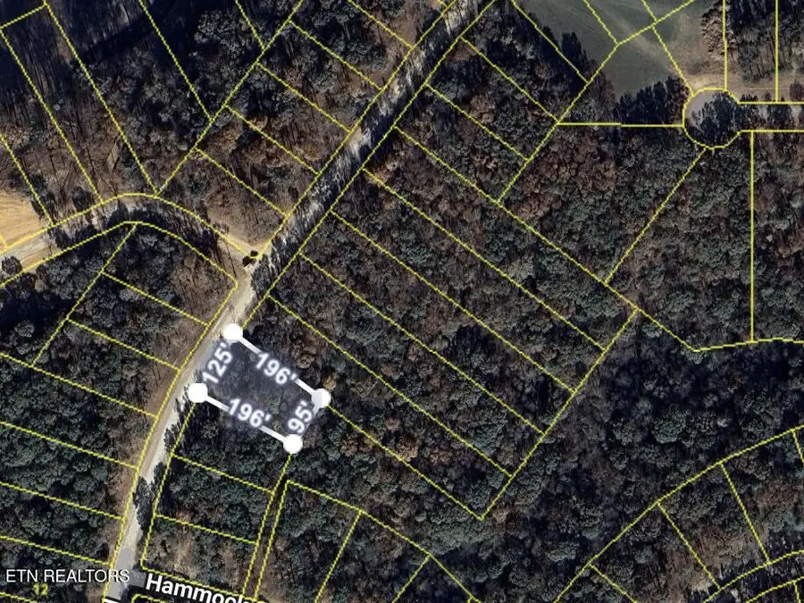 2908 Old Dogwood Tr, Loudon, TN 37774 - #3