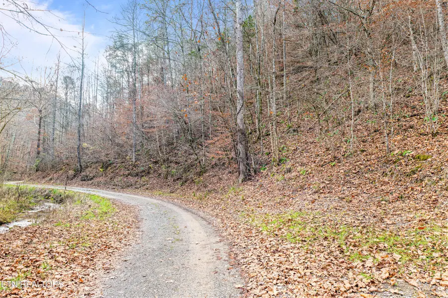 Ramsey Hollow Rd, Harrogate, TN 37752 - #2
