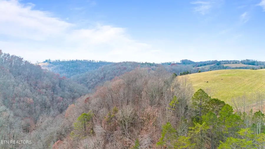 Ramsey Hollow Rd, Harrogate, TN 37752 - #3