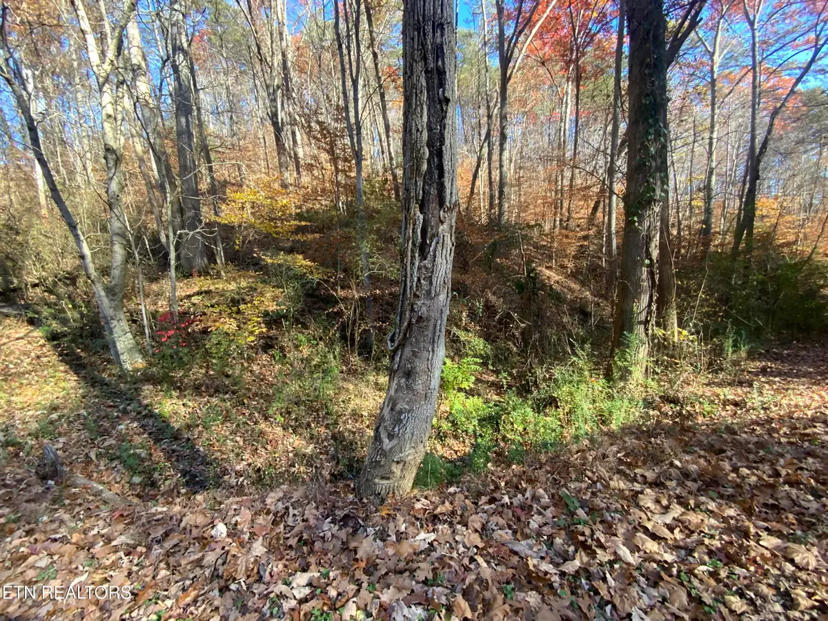 Mountain Side Lane, Rocky Top, TN 37769 - #1