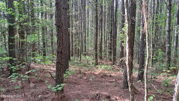 Lot 14 Airport Rd (pca), Rockwood, TN 37854