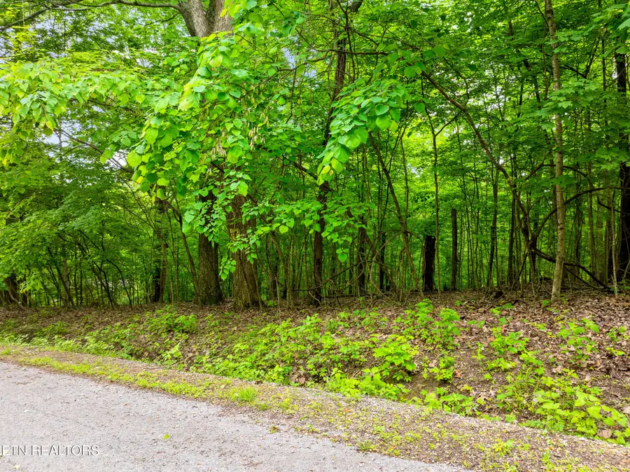 Running Deer Tr, Caryville, TN 37714 - #2