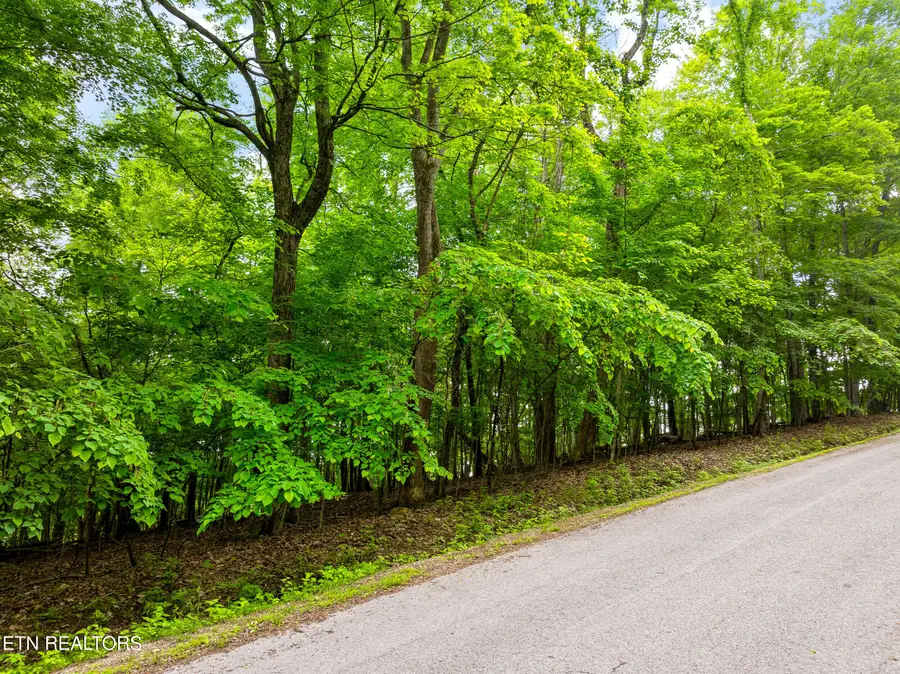 Running Deer Tr, Caryville, TN 37714 - #3