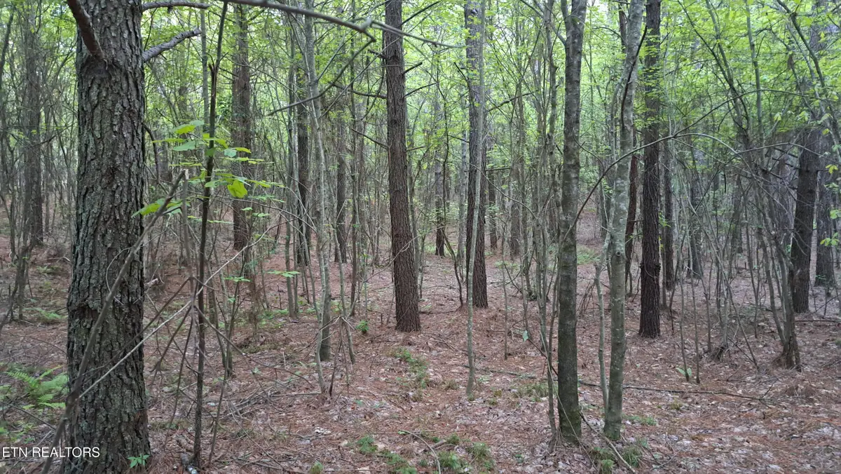Lot 22 Airport Rd (pca), Rockwood, TN 37854 - #1