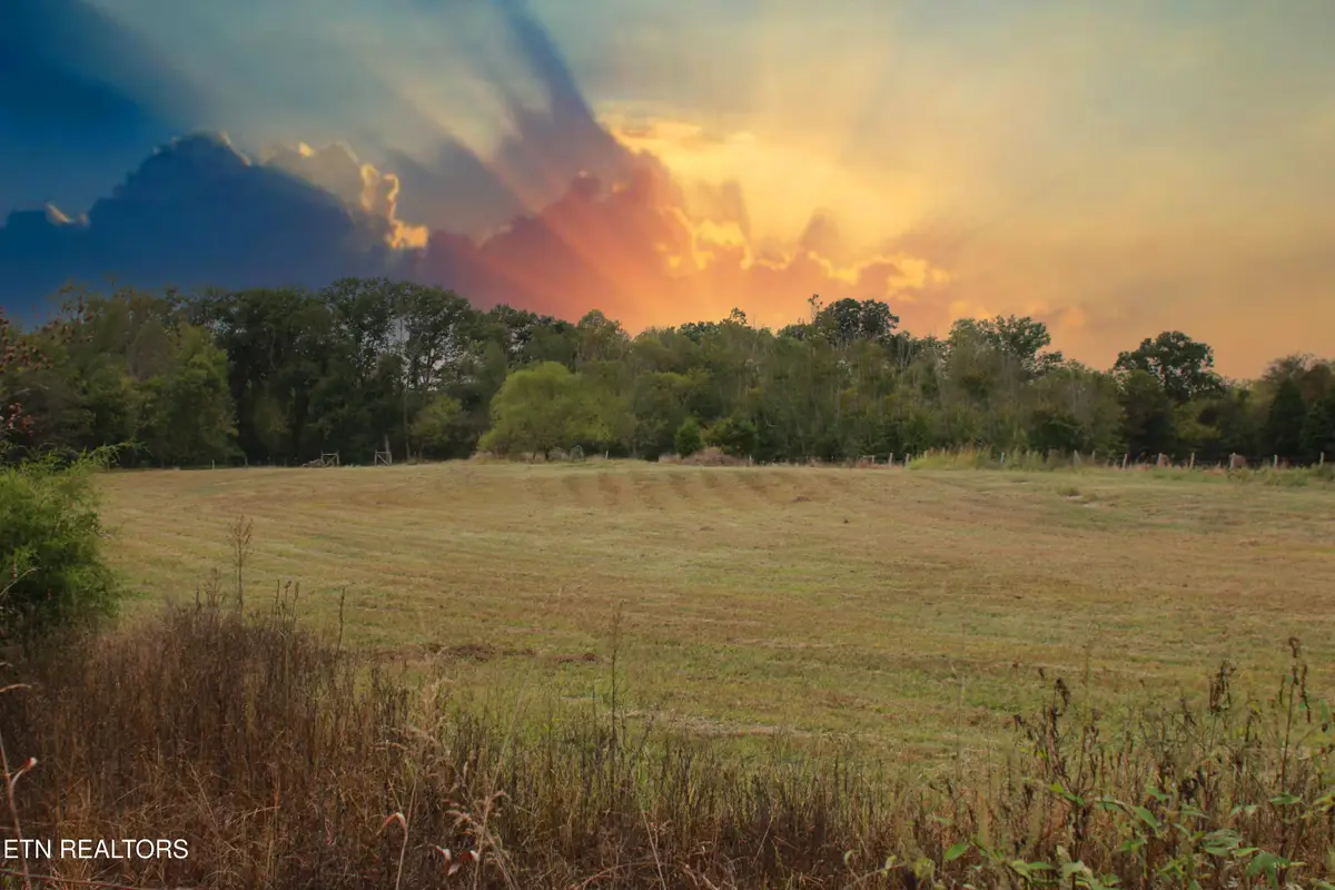 2497 Mt Carmel Rd, Decatur, TN 37322 - #1