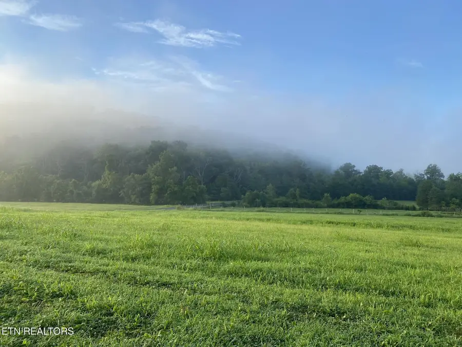 2497 Mt Carmel Rd, Decatur, TN 37322 - #3