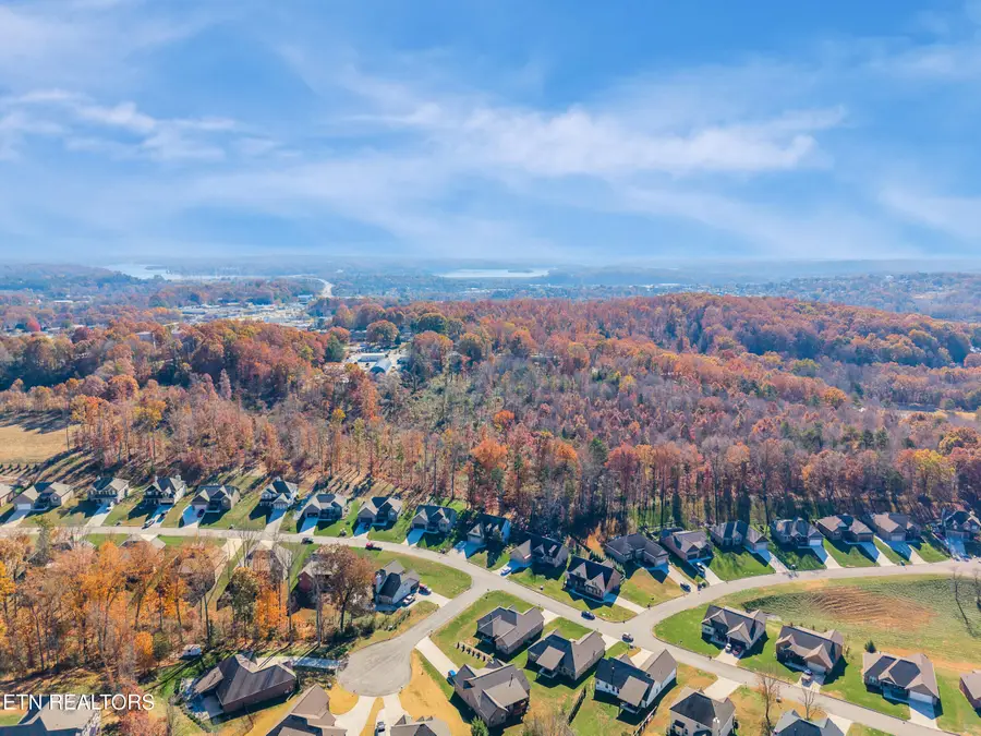 597 Carrington Blvd, Lenoir City, TN 37771 - #2