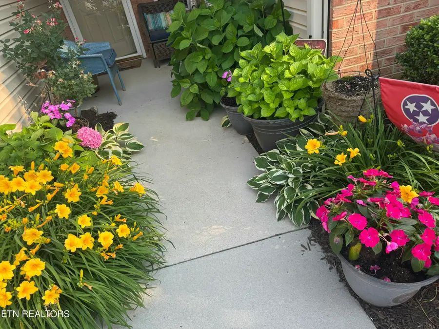 4528 Shamus Way, Knoxville, TN 37918 - #3