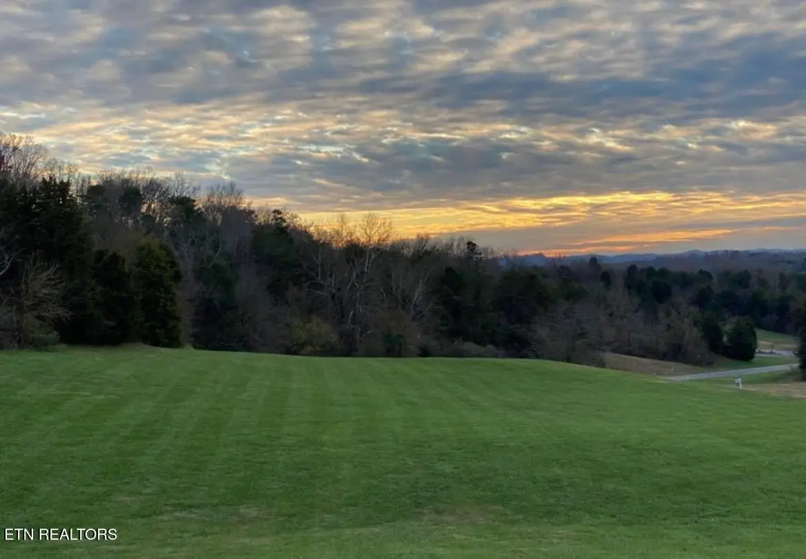 Thunder Ridge Dr Drive, Vonore, TN 37885 - #1