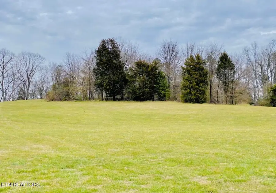 Thunder Ridge Dr Drive, Vonore, TN 37885 - #2