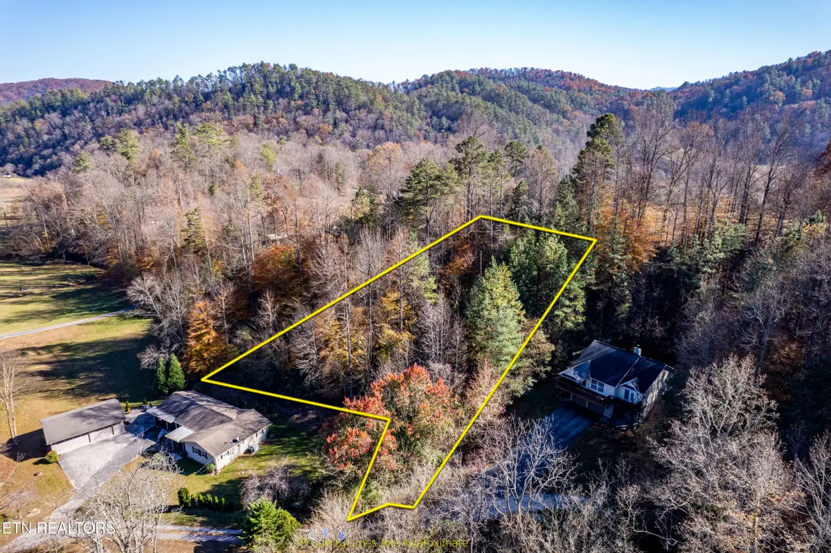 W Millers Cove Rd, Walland, TN 37886 - #1