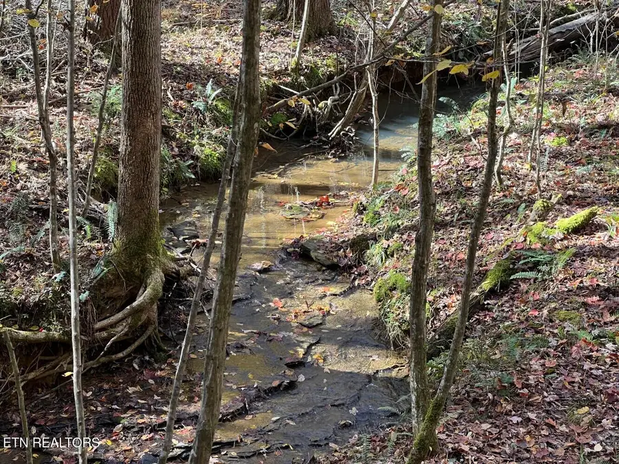 523 Honey Creek Loop Rd, Allardt, TN 38504 - #2