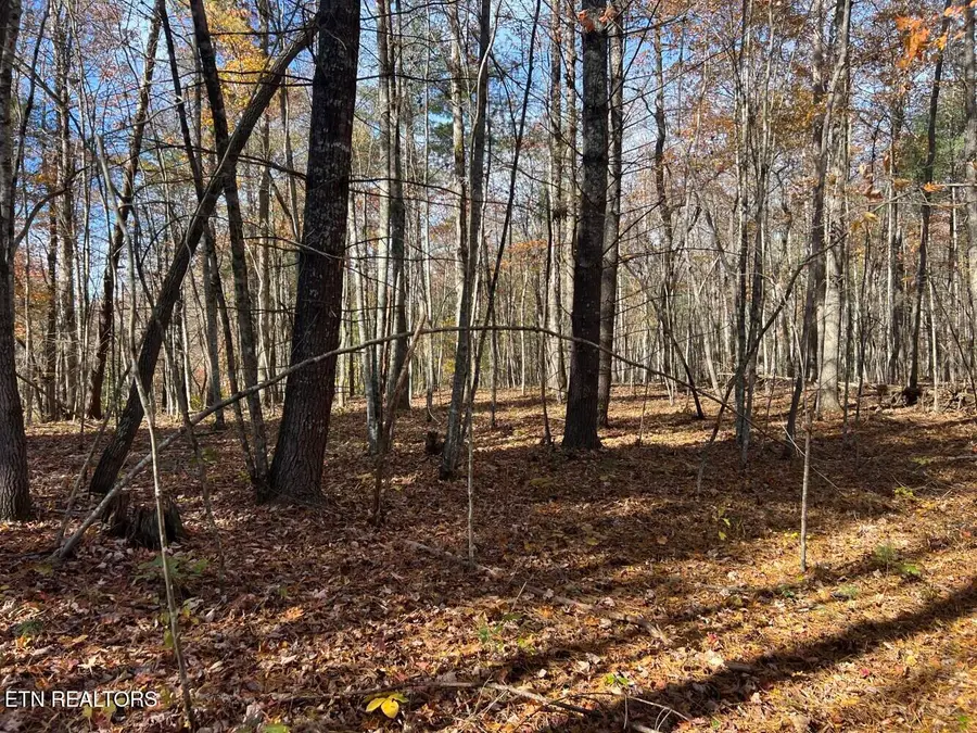 523 Honey Creek Loop Rd, Allardt, TN 38504 - #3