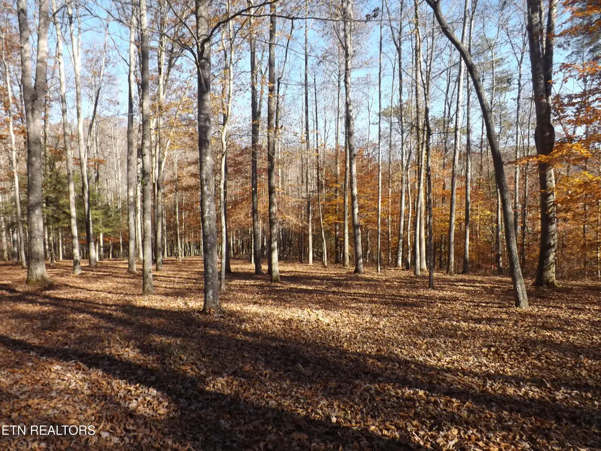 TBD Rt 516 Old Cross Rd, Pineville, KY 40977 - #1