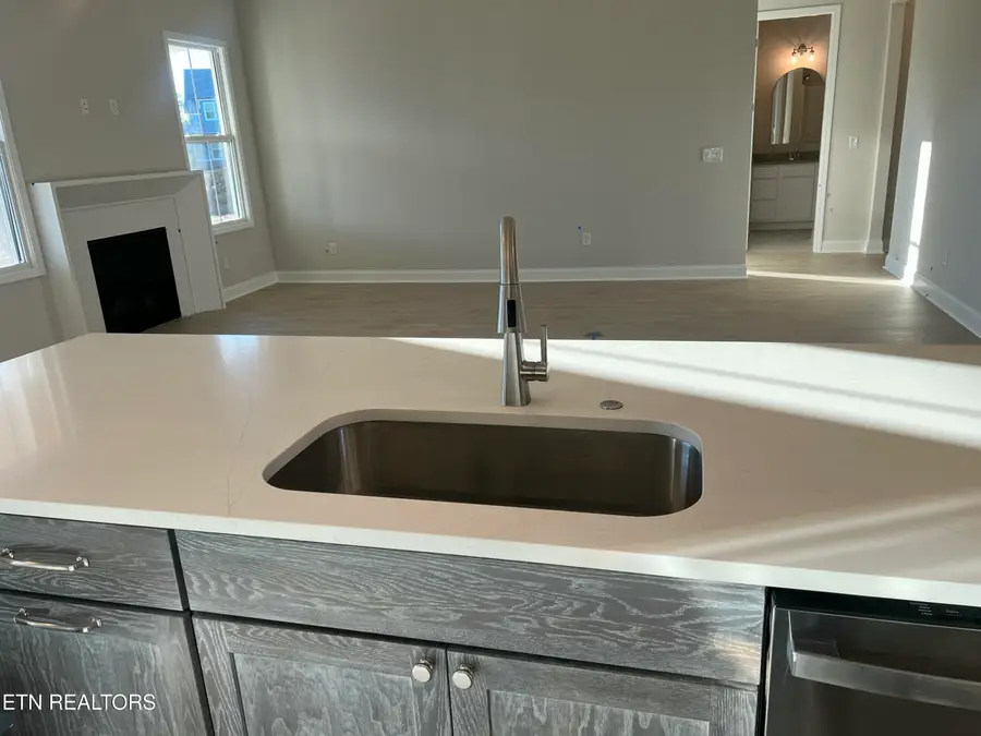 125 Limelight Lane, Lenoir City, TN 37772 - #3