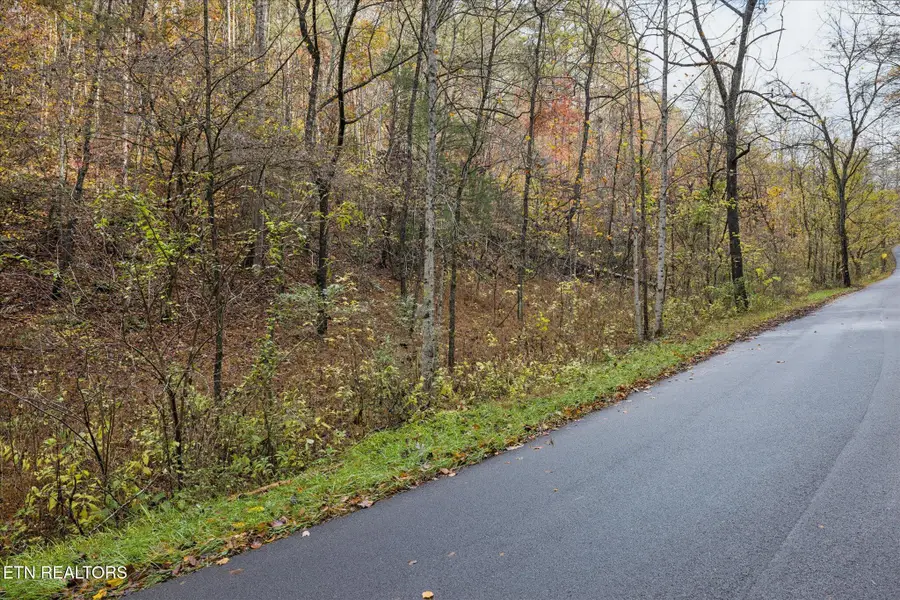 TBD Evans Chapel Rd, Sevierville, TN 37876 - #3