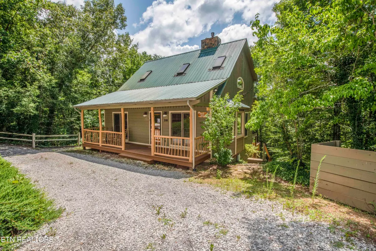 218 Ace Gap Rd, Townsend, TN 37882 - #1