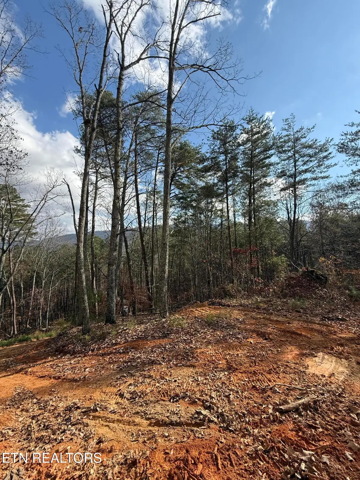 Lot 1 Parksville Road, Benton, TN 37307 - #1
