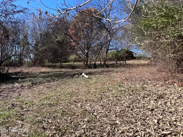 OFF Jefferson St, White Pine, TN 37890