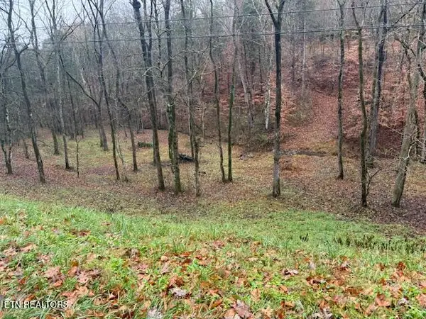 Lot 13/14 Highland Tr, Sharps Chapel, TN 37866