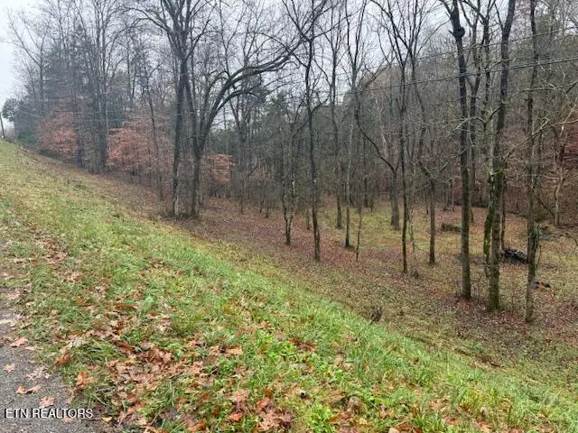 Lot 13/14 Highland Tr, Sharps Chapel, TN 37866 - #3