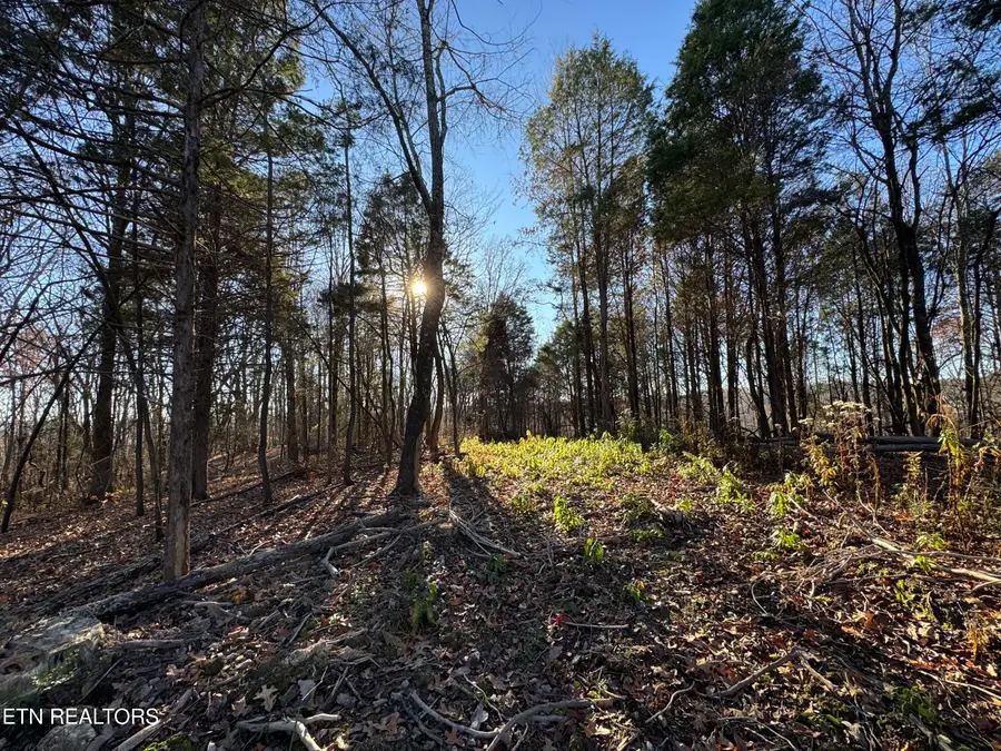 176 Billingsley Rd, Sweetwater, TN 37874 - #3