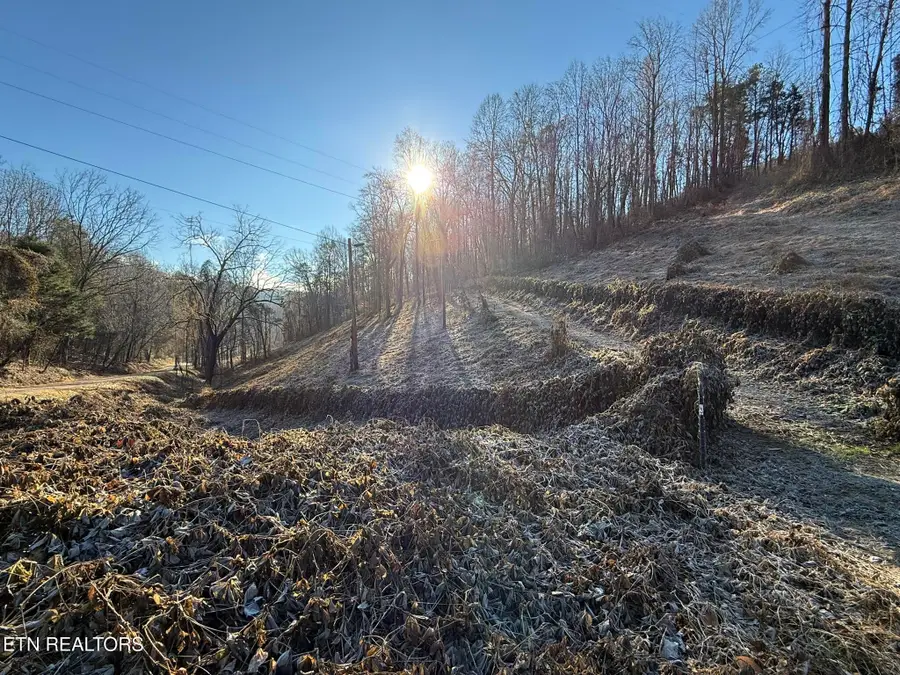 S Marlowe Lane, Speedwell, TN 37870 - #2