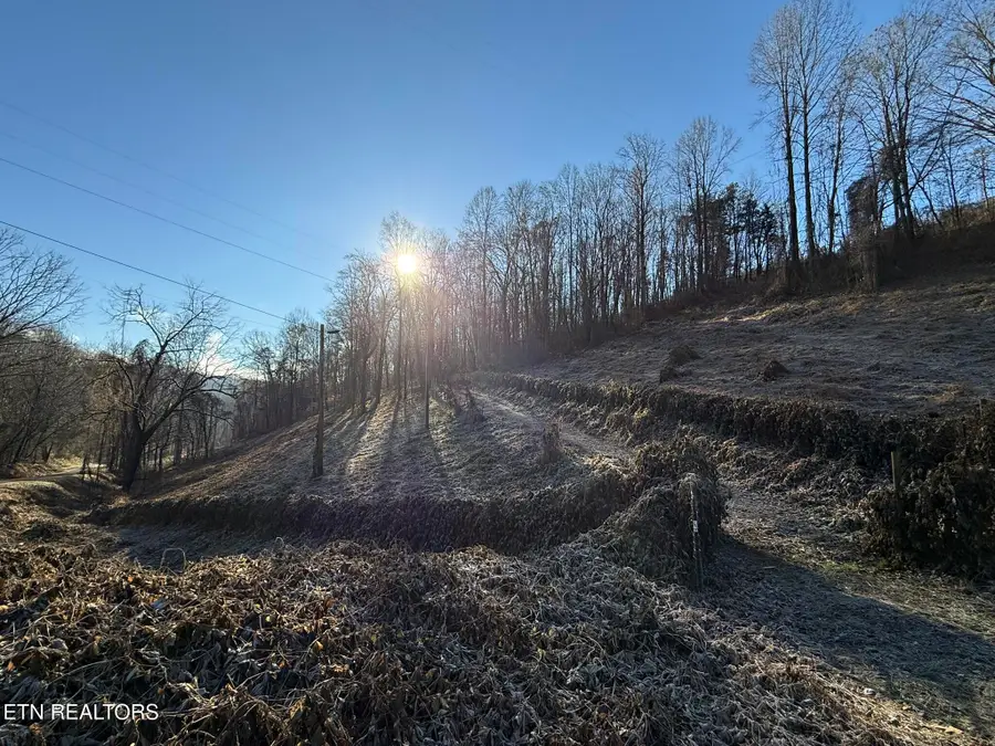 S Marlowe Lane, Speedwell, TN 37870 - #3