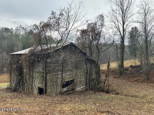 680 Bug Branch Rd, Del Rio, TN 37727 - #2