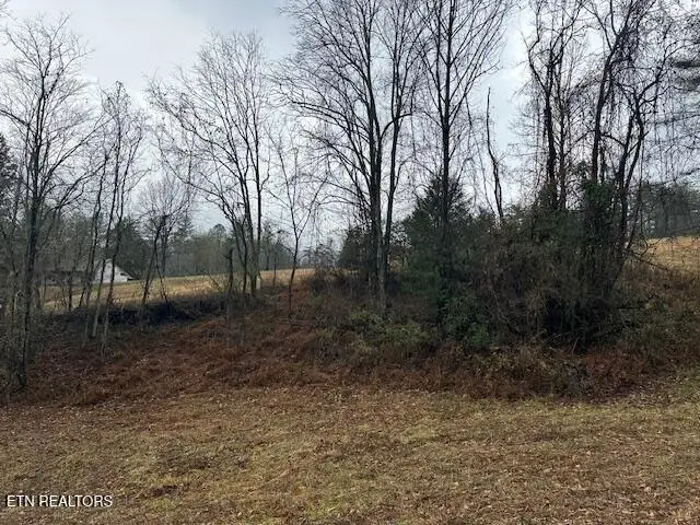 680 Bug Branch Rd, Del Rio, TN 37727 - #3