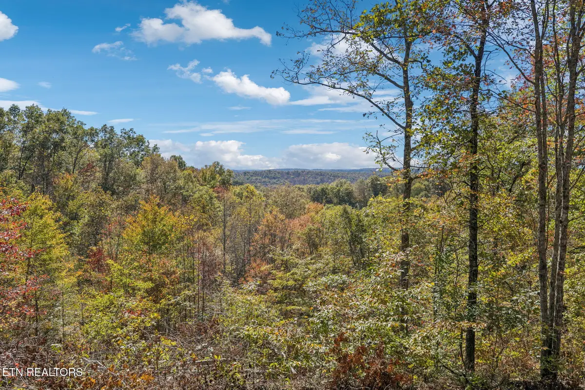 Sheep Ranch Rd, Robbins, TN 37852 - #1