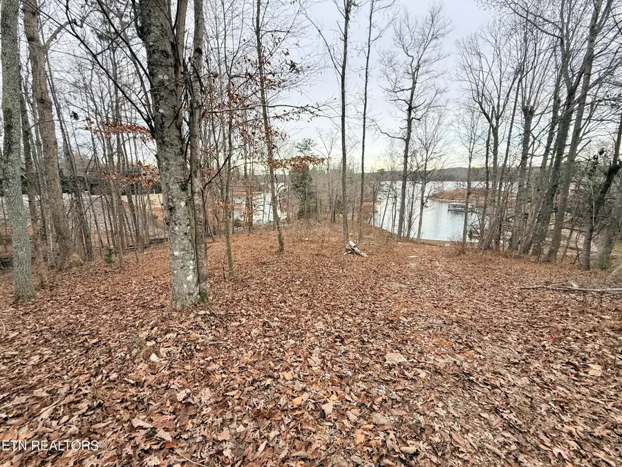 Lot 77 Indian Shadows Drive, Ten Mile, TN 37880 - #3