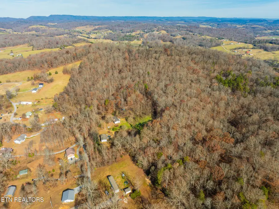 Collins Rd, Blaine, TN 37709 - #2