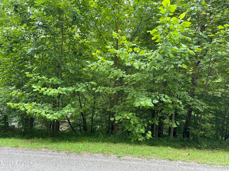 lots 21&22 Ridge Rd, Caryville, TN 37714 - #3