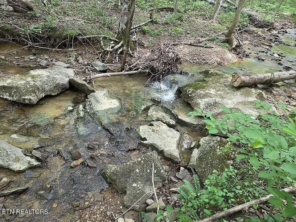 235 Sparta St, Spencer, TN 38585 - #1