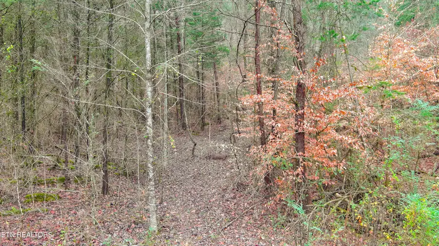 Stormer Rd, Knoxville, TN 37918 - #3