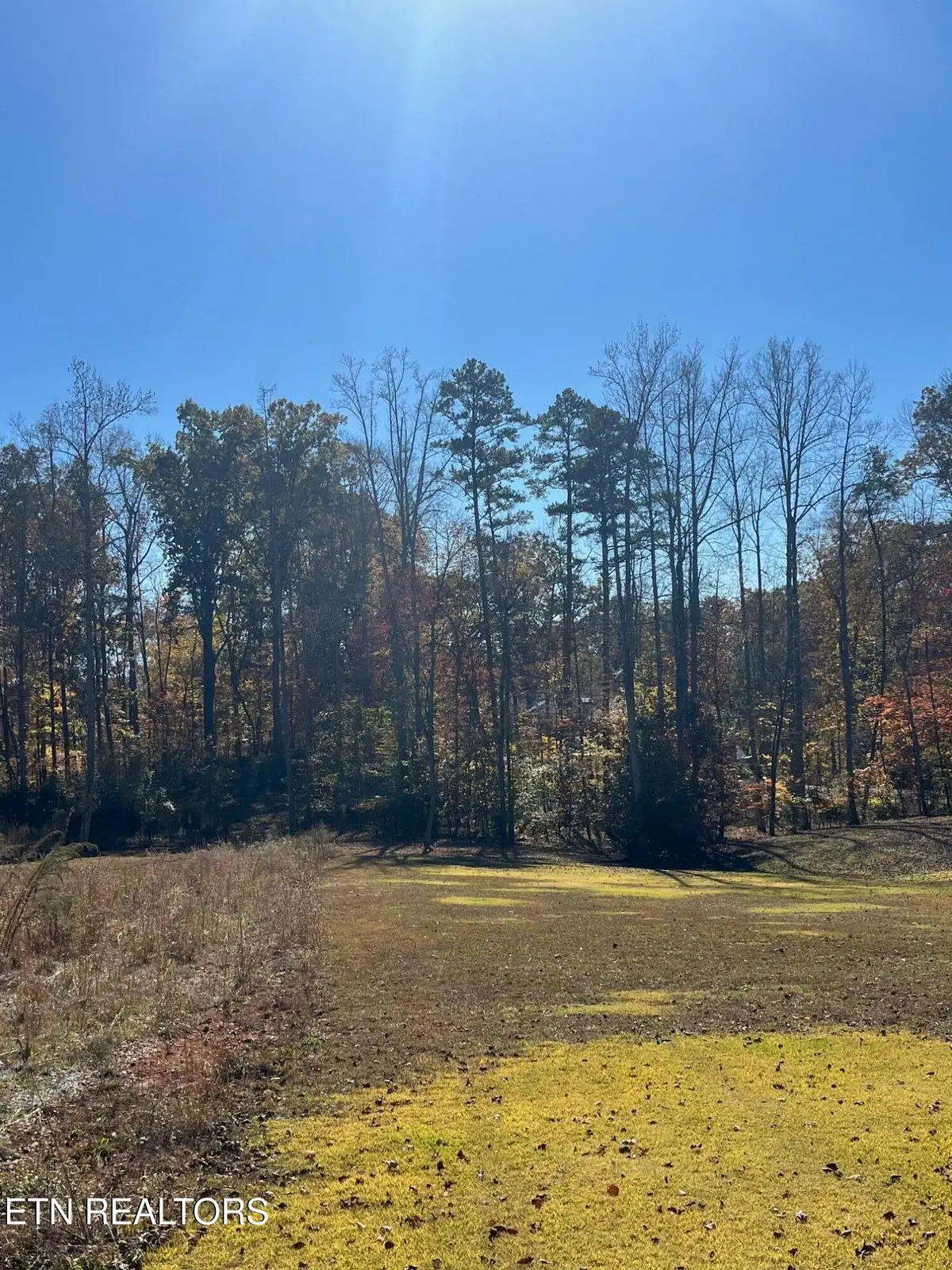 160 Old Rockwood Hwy, Harriman, TN 37748 - #1