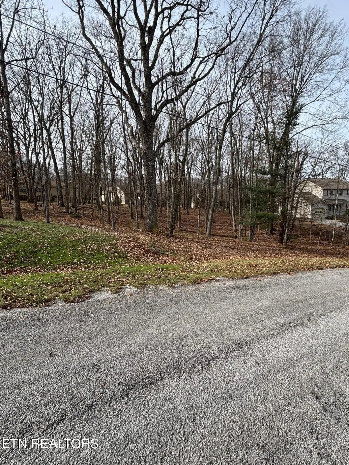 43 Havenridge Place, Crossville, TN 38558 - #1