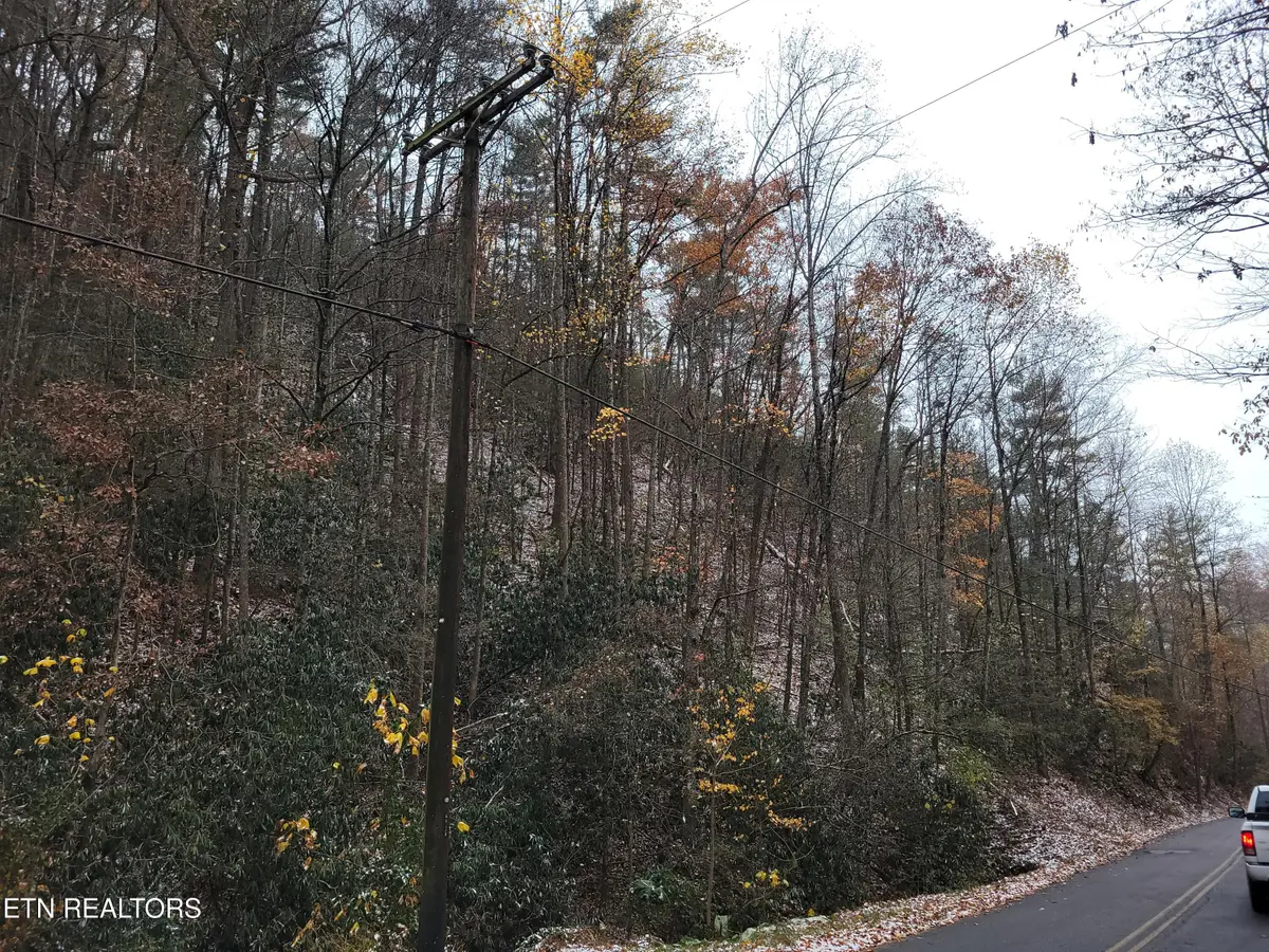 Lot 37/38 Alpine Drive, Sevierville, TN 37876 - #1
