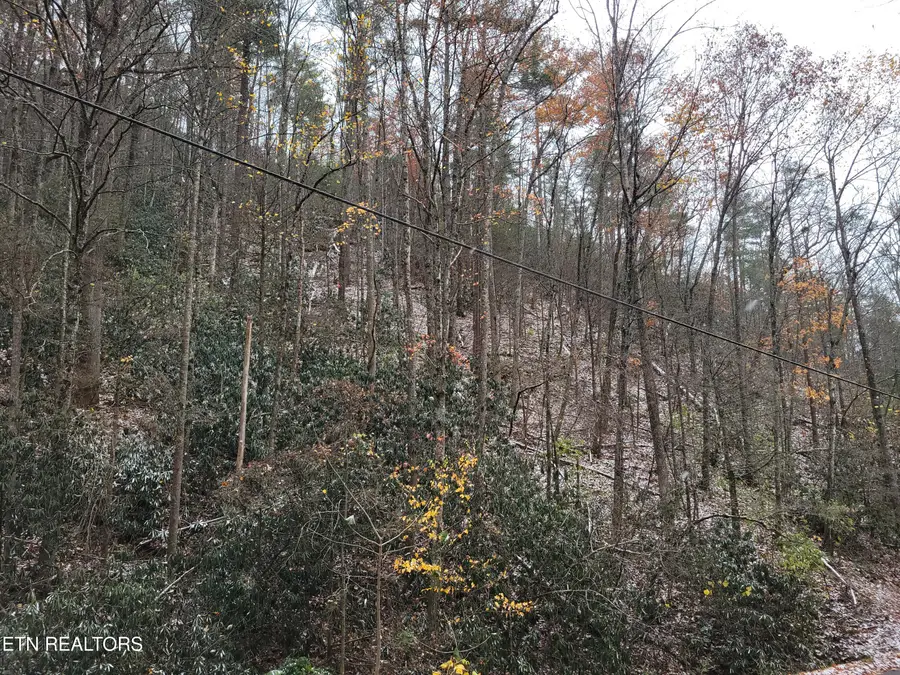 Lot 37/38 Alpine Drive, Sevierville, TN 37876 - #3