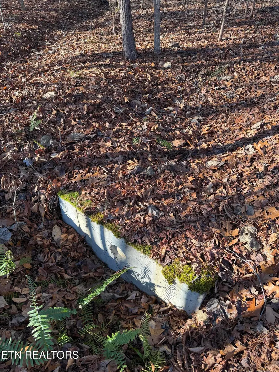 Lot 844 Landmark Drive, New Tazewell, TN 37825 - #2