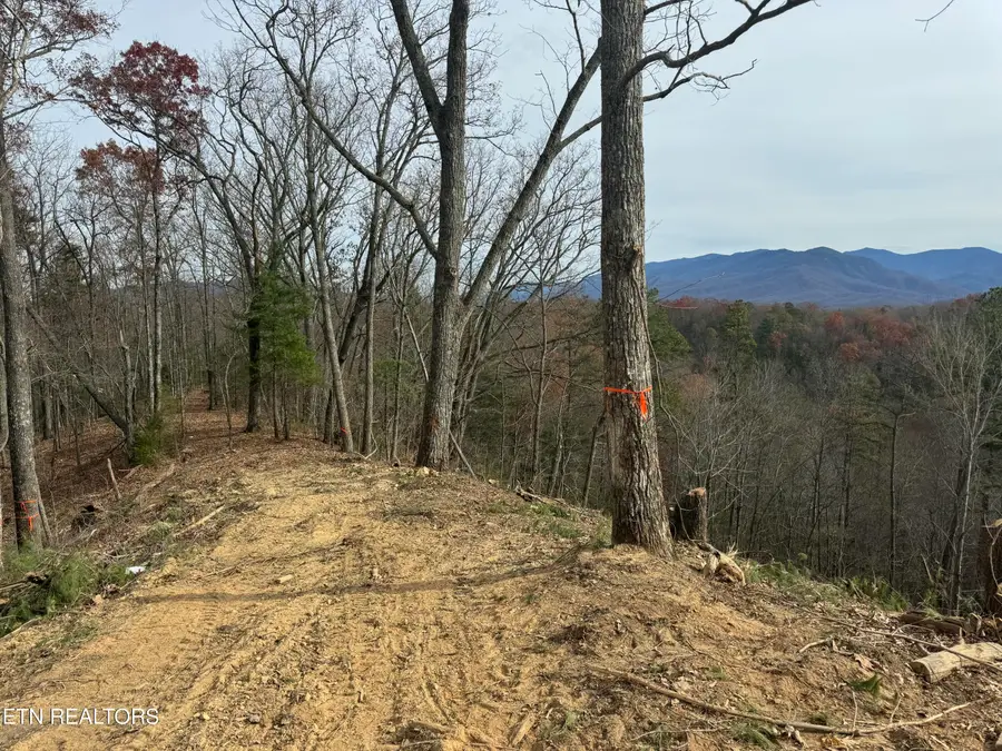 Lot 3 Powdermill Rd, Gatlinburg, TN 37738 - #3