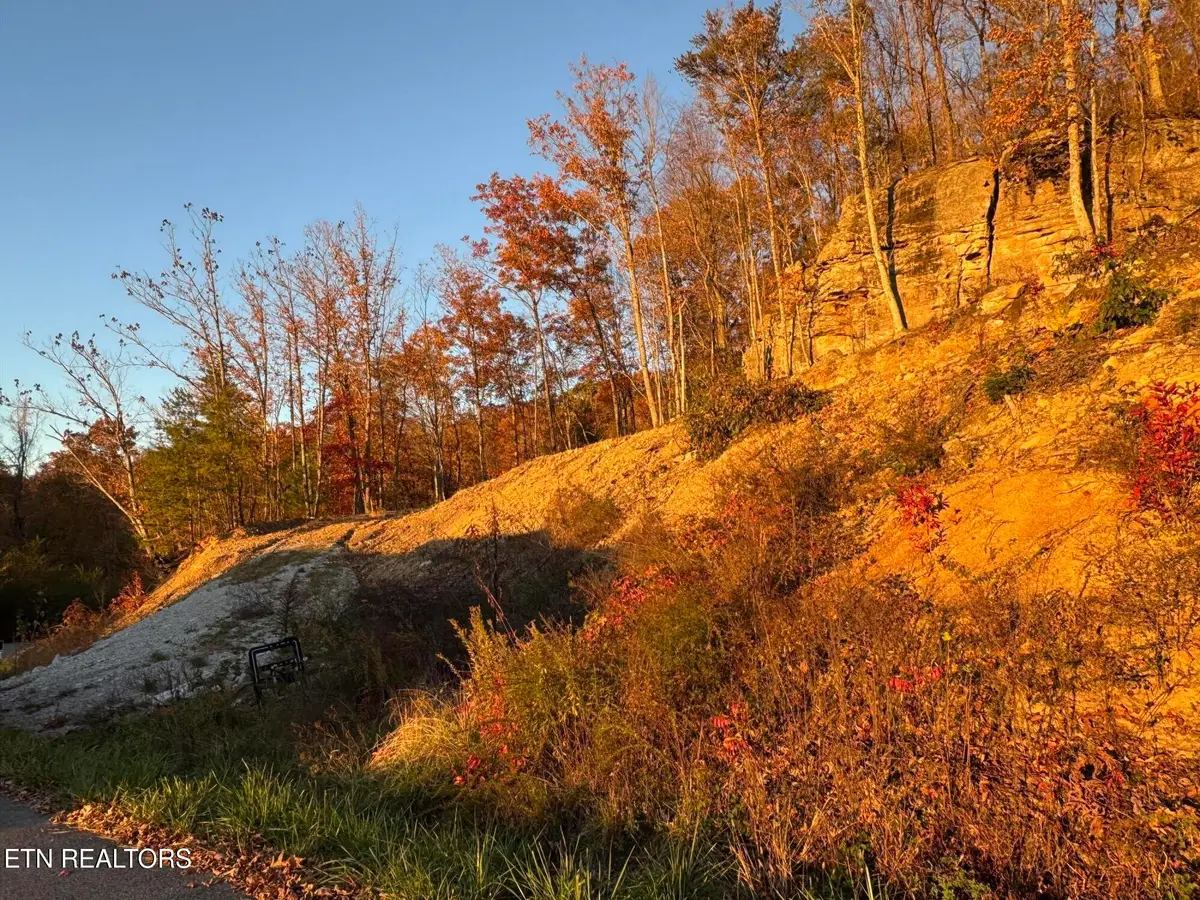 Big Ridge Rd, Oneida, TN 37841 - #1