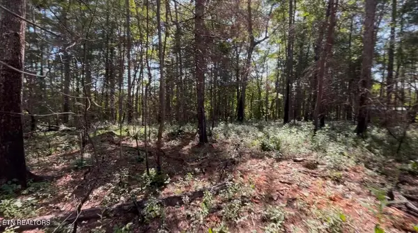 241 Star Lake Way, Deer Lodge, TN 37726