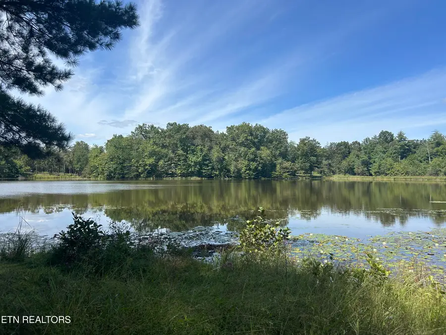 241 Star Lake Way, Deer Lodge, TN 37726 - #2