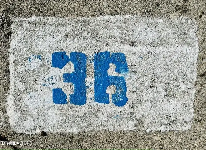 Lot 36 Highway 73, Townsend, TN 37882 - #3