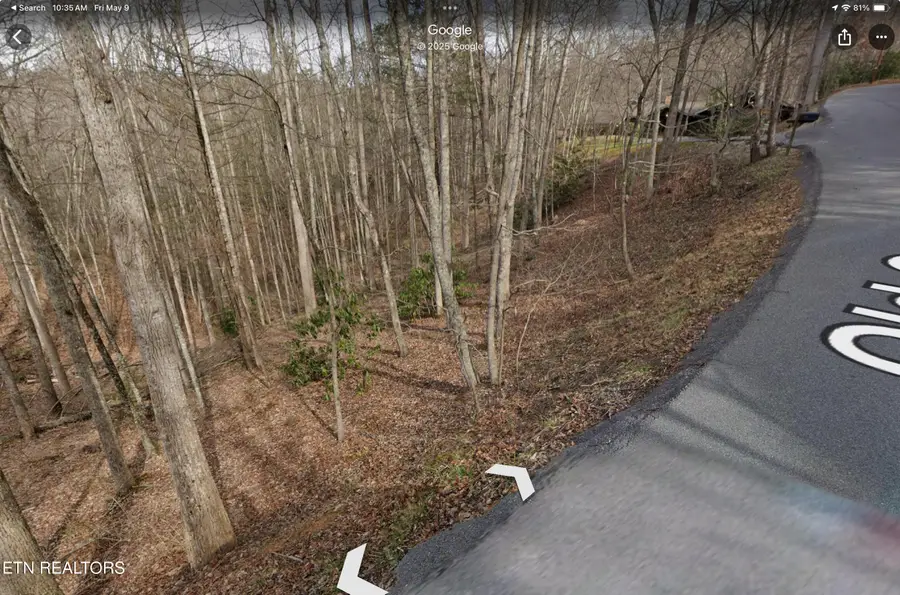 Lot 3 Old Cartertown (4.49 Acres) Rd, Gatlinburg, TN 37738 - #2