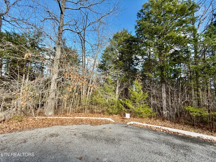 Divot Place, Tazewell, TN 37879 - #3